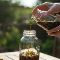 Naturalna ochrona drzew owocowych – jak zrobić ekologiczne opryski z ziół i chwastów?
